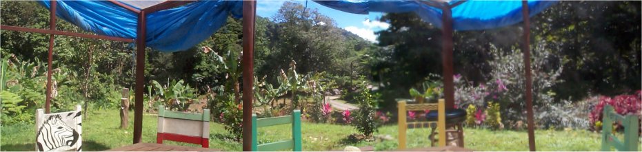 restaurant view.jpg